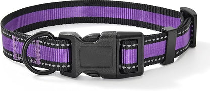 Mile High Life Dog Collar | Nylon Reflective Dog Collars | Light Weight Puppy Collars | Purple Dog Collars for Medium Dogs (Purple, Medium)
