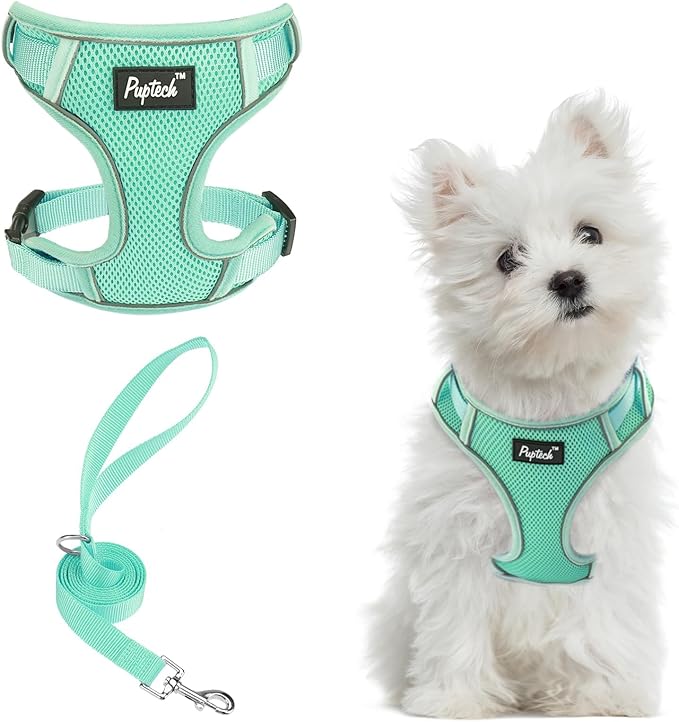 PUPTECK Small Dog Harness and Leash Set, No Pull Adjustable Puppy Cat Harness, Reflective Soft Mesh Pet Vest Small Sized, Green, S