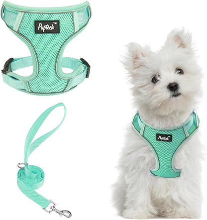 PUPTECK Small Dog Harness and Leash Set, No Pull Adjustable Puppy Cat Harness, Reflective Soft Mesh Pet Vest Small Sized, Green, S
