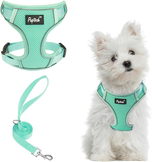 PUPTECK Small Dog Harness and Leash Set, No Pull Adjustable Puppy Cat Harness, Reflective Soft Mesh Pet Vest Small Sized, Green, S