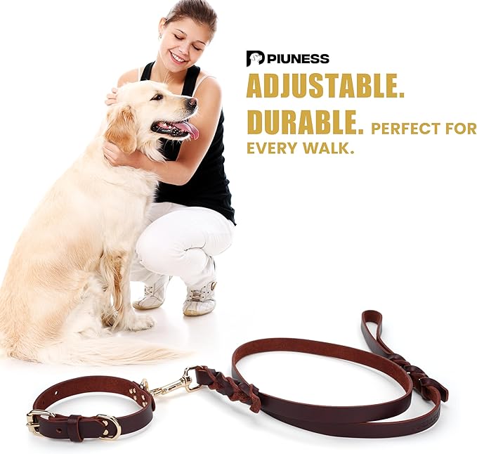 100% Real Leather Dog Collar and Leash Set, Premium Adjustable Fit with Durable Buckle, Stylish Comfort for Dogs (Medium)