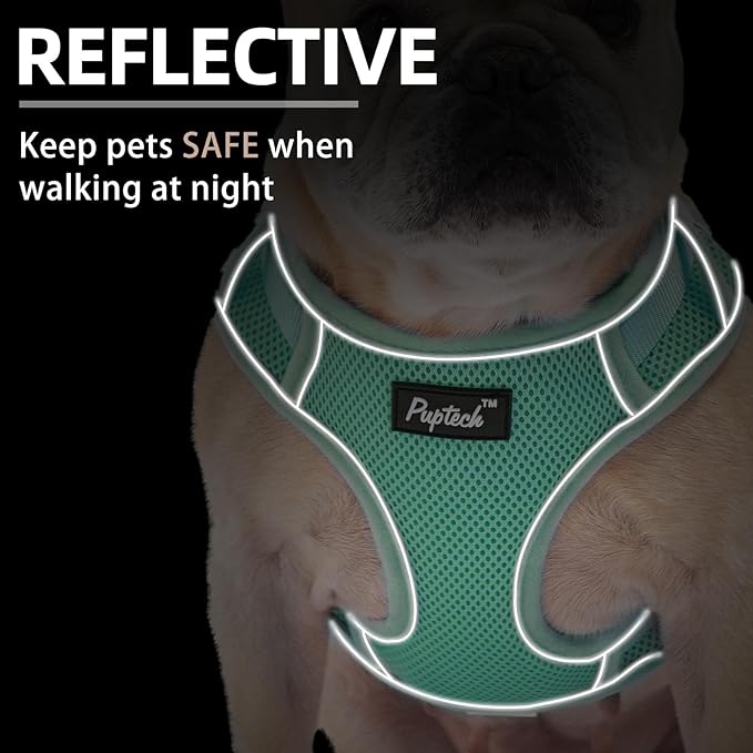 PUPTECK Small Dog Harness and Leash Set, No Pull Adjustable Puppy Cat Harness, Reflective Soft Mesh Pet Vest Small Sized, Green, XS