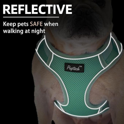 PUPTECK Small Dog Harness and Leash Set, No Pull Adjustable Puppy Cat Harness, Reflective Soft Mesh Pet Vest Small Sized, Green, XS