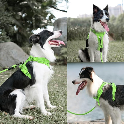 PoyPet No Pull Dog Harness and 5 Feet Leash Set, Release on Neck Reflective Adjustable Pet Vest, Front & Back 2 D-Ring and Soft Padded Pet Harness with Handle for Small to Large Dogs(Green,M)