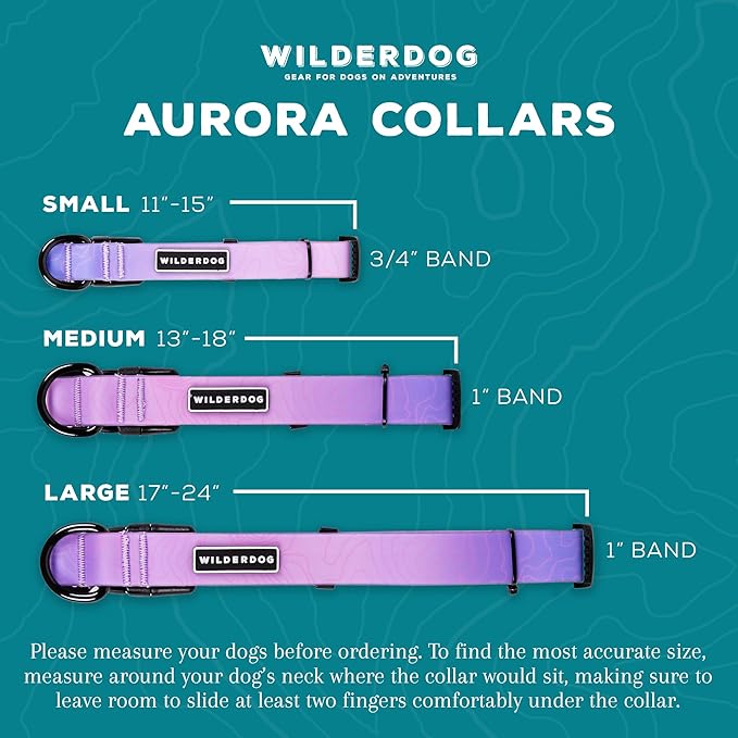 Wilderdog Waterproof Dog Collar – Repels Water & Dirt - Small 11"-15" - Aurora