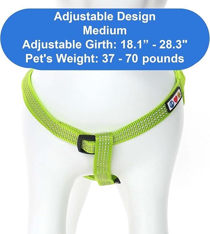 Pawtitas Reflective Step-in Dog Harness – Adjustable No-Pull Vest for Puppies to Seniors, Safe & Comfortable, M Green