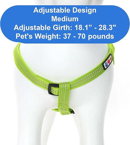 Pawtitas Reflective Step-in Dog Harness – Adjustable No-Pull Vest for Puppies to Seniors, Safe & Comfortable, M Green