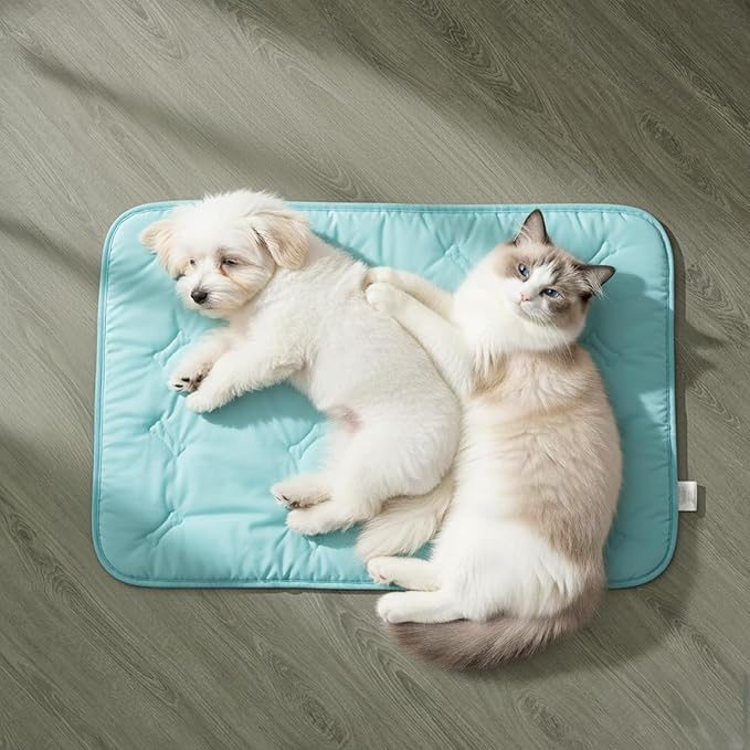 DORMORA Cooling Pet Mat – 31x28.5 Dog or Cat Cool & Comfy, Soft Breathable Self-Cooling Pad, Pet-Safe, Durable, Perfect for Hot Weather, Naps, Crates, Cars, Couch, Washable, Take Anywhere, Blue