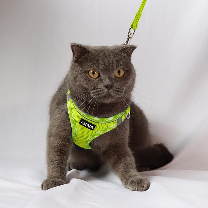 AMTOR Small Dog Harness with Leash Set, No Escape Easy Walk Puppy Harnesses for Training Walking, Step-in Reflective Soft Dogs Vest for XS S Medium Extra-Small Large Sized Dog(XL Size,Green/White)