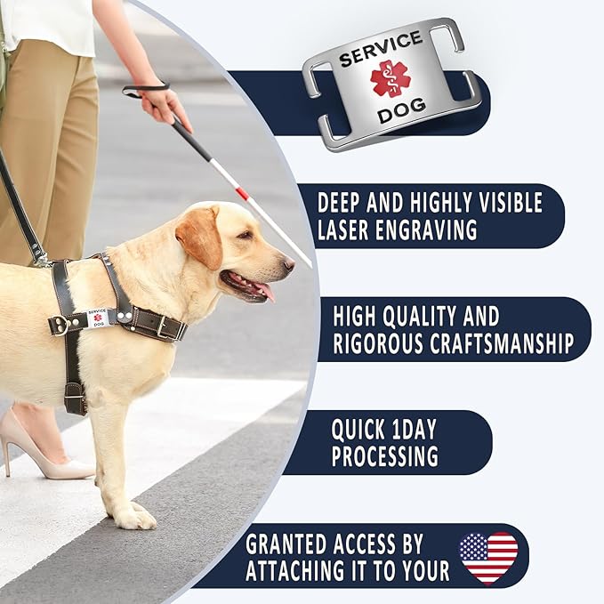 Leash King Surgical Stainless Steel PVD Gold K9 Pet ID Jewelry Tag - Slide on Dog Collar or Harness Quickly and Securely – No Noise, Durable - Stylish & Comfortable - Perfect for Dogs & Cats/Small
