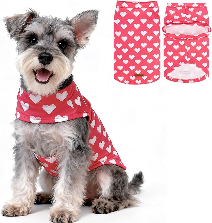 EXPAWLORER Soft Cat Sweater - Sweaters for Cats Only Warm Kitten Clothes, Fall and Winter Pet Coat Pullover Design, Fleece Sweatshirt Clothing Also for Puppy Small Dogs, Pink Heart L