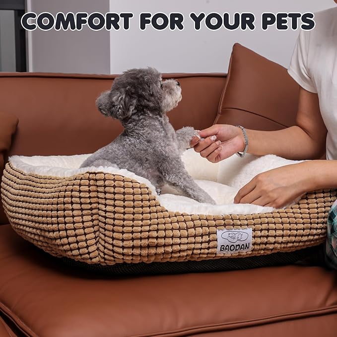 Baodan Small Dog Bed for Small Dogs, Cat Beds for Indoor Cats Washable, Rectangle Dog Bed, Warming Soft Calming Sleeping Puppy Bed Durable Pet Bed with Anti-Slip Bottom (20 inch, Coffee)