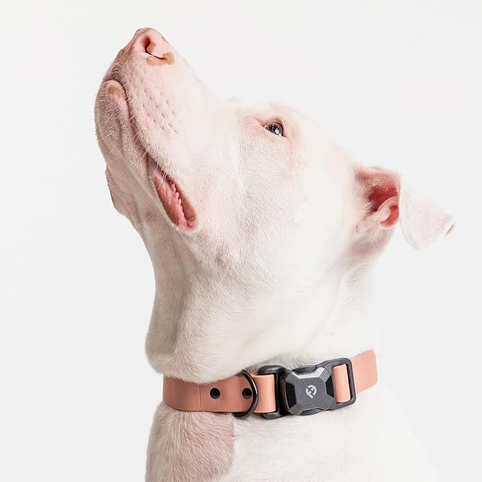 2026 New Edition, Fei & Eve PVC MagEase Dog Collar - Patented Magnetic Buckles | Quick-Release | 450LB Escape-Proof | Fur-Safe | Adjustable Fit | Small Blush