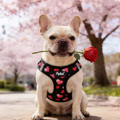 PUPTECK Valentine Dog Harness and Leash Set for Small Medium Dogs No Pull Step-in Soft Mesh Puppy Cat Vest Valentine Harnesses Reflective at Night, Black&Pink, XS