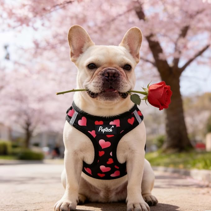 PUPTECK Valentine Dog Harness and Leash Set for Small Medium Dogs No Pull Step-in Soft Mesh Puppy Cat Vest Valentine Harnesses Reflective at Night, Black&Pink, L