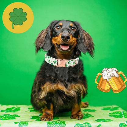 Lionheart glory St. Patrick Dog Collar, Clover Green Collars for Large Dogs Spring Adjustable Heavy-Duty Dog Collar Pet Gift