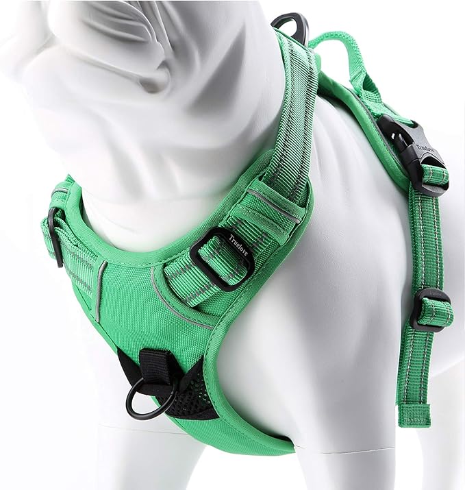 JUXZH Truelove No Pull Dog Harness with Easy Control Handle and 2 Leash Attachments,Reflective Adjustable Pet Vest