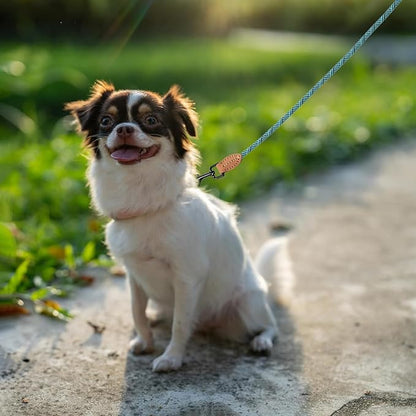 Mile High Life Small Dog Leash, Thin Rope Leash with Genuine Leather Connection and Heavy Duty Metal Clasp, Great for Small Medium Dogs(Turquoise Green, 72 Inch-1/3)