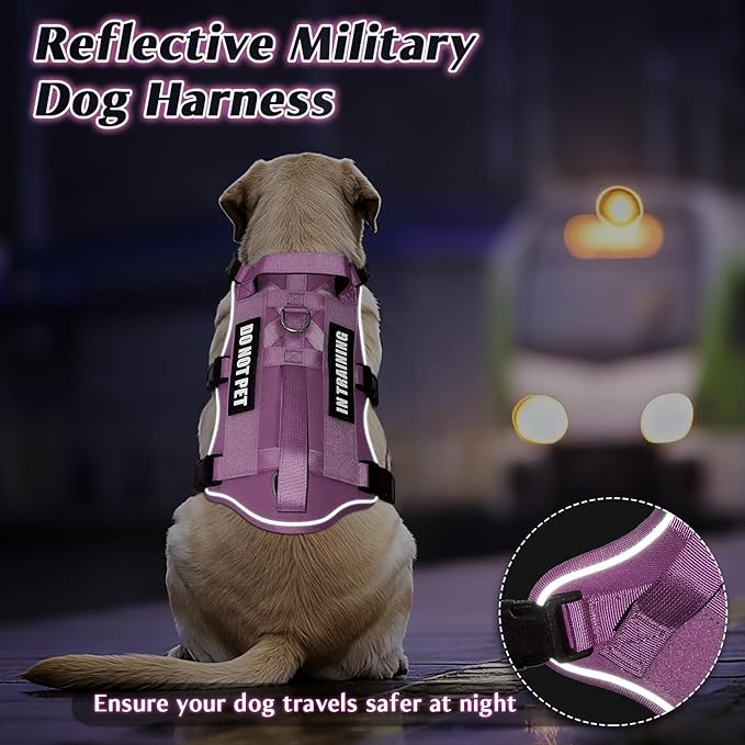 WINSEE Escape Proof Dog Harness, Service Working Molle Harness with Double Handle, Tactical Pet Vest with 4 Patches for Small Medium Large Dogs Walking Hiking Hunting