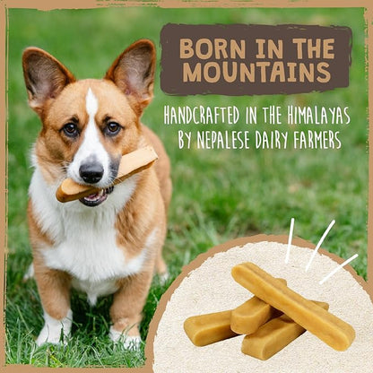 Mighty Paw Yak Cheese Chews for Dogs | All-Natural Long Lasting Treats. Odorless and Great for Oral Health. Limited-Ingredient Chews for Puppies & Power-Chewers (Large, 12 Pack)1 Count (Pack of 1)