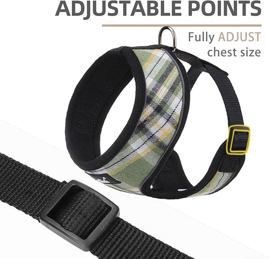 PUPTECK Soft Mesh Dog Harness and Leash Set Pet Puppy Cat Comfort Padded Vest No Pull Harnesses, Green/Yellow, XS