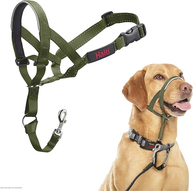 Halti Headcollar - Stop Your Dog Pulling on The Leash. Adjustable, Reflective and Lightweight, with Padded Nose Band. Dog Training Anti-Pull Collar for Medium Dogs (Size 3, Forest Green)