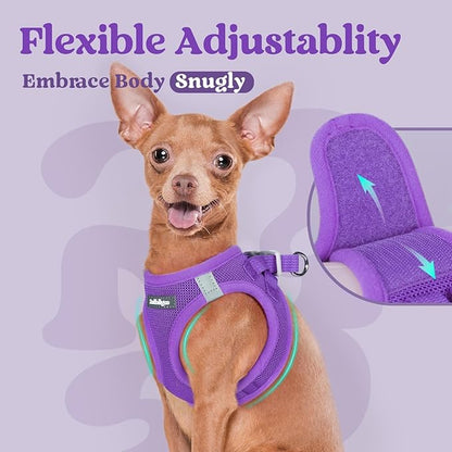 rabbitgoo Small Dog Harness, Step-in Soft Mesh Puppy Vest with Safety Buckle, Breathable Reflective Pet Harness for Small Medium Dogs, Purple L