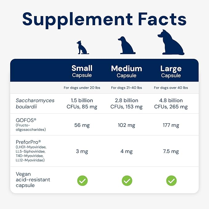 AnimalBiome Dog Probiotics - GMP Prebiotics and Probiotics - Reduce Diarrhea Flareups - for Dogs Over 40 lbs (60 Capsules) - DoggyBiome