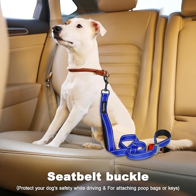 6 Foot Blue Dog Leashes for Large Medium and Small Breed Dogs That Pull,Reflective Nylon Heavy Duty Dog Leash with 2 Comfortable Padded Traffic Handles and Car Seat Belt for Walking and Training