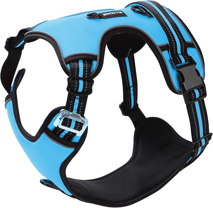 No Pull Dog Harness with 3 Snap Buckles,No Choke Front Lead pet Harness Reflective and Adjustable Soft Padded Vest for Small Medium Large Dog (Blue, Small)