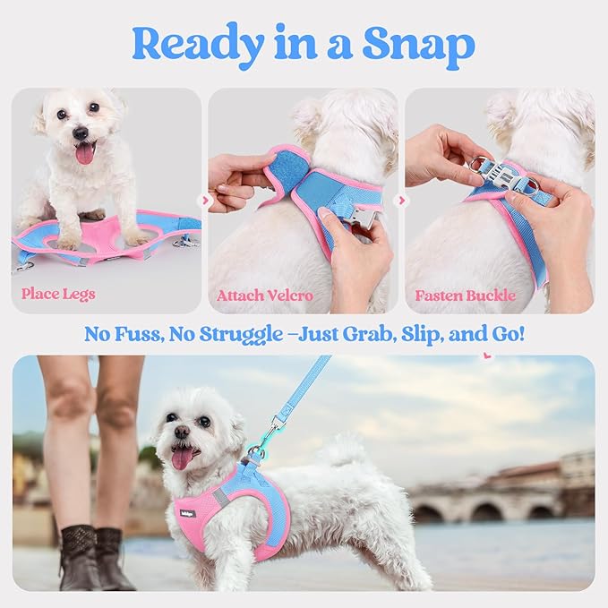 rabbitgoo Dog Harness Small Sized and Leash Set, Step in Soft Light Puppy Vest, Breathable Mesh Pet Harness, Reflective for Safe Easy Walking, Blue & Light Pink S