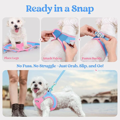 rabbitgoo Dog Harness Medium Sized and Leash Set, Step in Soft Light Puppy Vest, Breathable Mesh Pet Harness, Reflective for Safe Easy Walking, Blue & Light Pink XXL