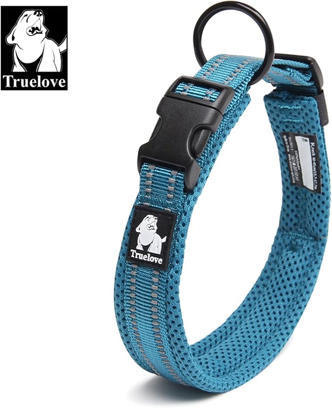TRUE LOVE Dog Collar Reflective Premium Duraflex Buckle,High Grade Nylon Webbing No Choke Basic Collars TLC5011(Blue,XS)