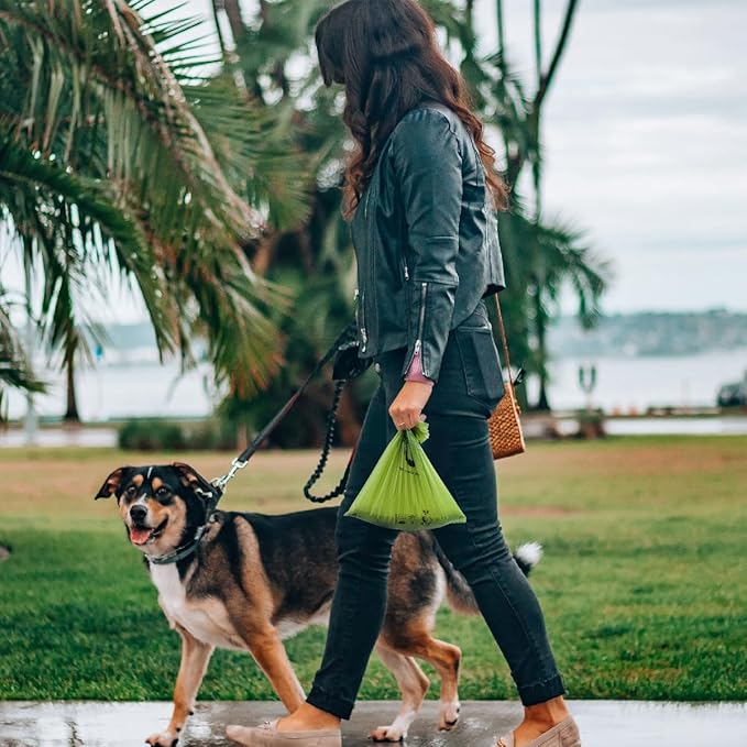 Certified Compostable Dog Poop Bags, 270 Count Landfill Friendly and Leakproof Waste Bags, Easy Open Unscented Forest Green Poop Bag for Dog, 15 Doggy Bags Per Roll (18 rolls)
