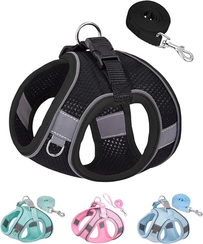 Solmoony Dog Harness for Small Medium Dogs No Pull, Puppy Harness and Leash Set, Puppy Harness, Step in Harness for Small Dogs,mesh Dog Harness. (Black, XS)