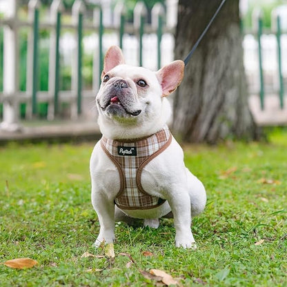 PUPTECK Soft Mesh Dog Harness and Leash Set Pet Puppy Cat Comfort Padded Vest No Pull Harnesses, Brown, L