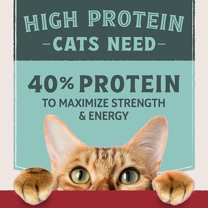 Natural Balance Ultra Protein Dry Cat Food, Real Chicken & Chicken Meal Recipe with Protein-Rich Organs - 10 lbs.
