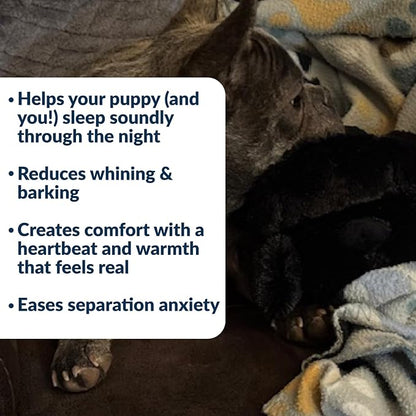 Snuggle Puppy Junior Heartbeat Puppy Toy - Heartbeat Puppy for Dogs - Pet Anxiety Relief and Calming Aid - Comfort Dog Toy - Behavioral Training and Sleep Aid Cuddle Buddy - Black
