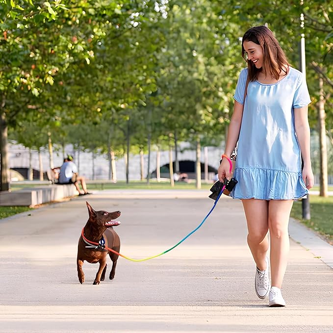 3-Pack Adjustable Rainbow Dog Slip Leads Multi-Color, 5FT Reflective Nylon – No Collar Needed, No-Pull, Ideal for Small/Medium Dogs (Training/Walking)