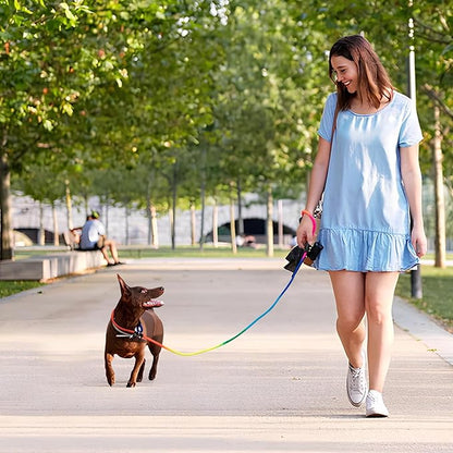3-Pack Adjustable Rainbow Dog Slip Leads Multi-Color, 5FT Reflective Nylon – No Collar Needed, No-Pull, Ideal for Small/Medium Dogs (Training/Walking)
