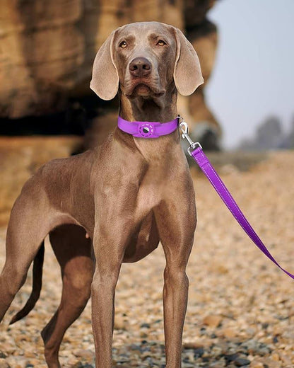 4FT Reflective Nylon Dog Leash with Soft Padded Handle for Walking, Running and Training, Supports Small Medium and Large Dogs (Purple, 1 Inch Wide)