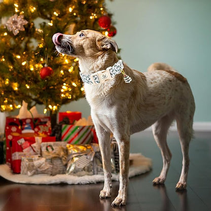 Elegant little tail Christmas Dog Collar, Green Pet Collar Cotton Soft Winter Dog Collars with Quick Release Buckle Pet Puppy Collars for Small Medium Large Dogs