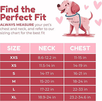 No-Pull, No-Choke Dog Harness & Leash Set – Stylish & Fun – Lightweight, Breathable Neoprene – Unique Heart Pattern – Adjustable for Extra Small Dogs (Harness Leash Set-Pink, X-Small)