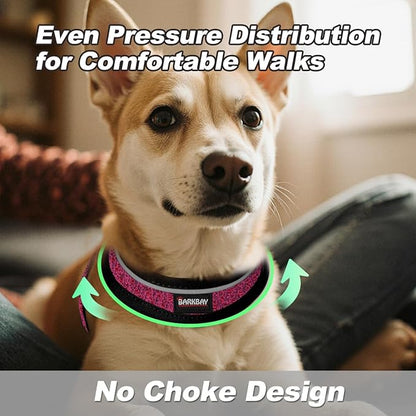 Dog Harness and Leash Set,Step in Small Sized Dog Harness,Soft Mesh,No-Chock,Reflective Adjustable,Secure with Hook & Loop Fastener,Puppy Vest for Small,Medium Dogs(Pink/Black,XXS)