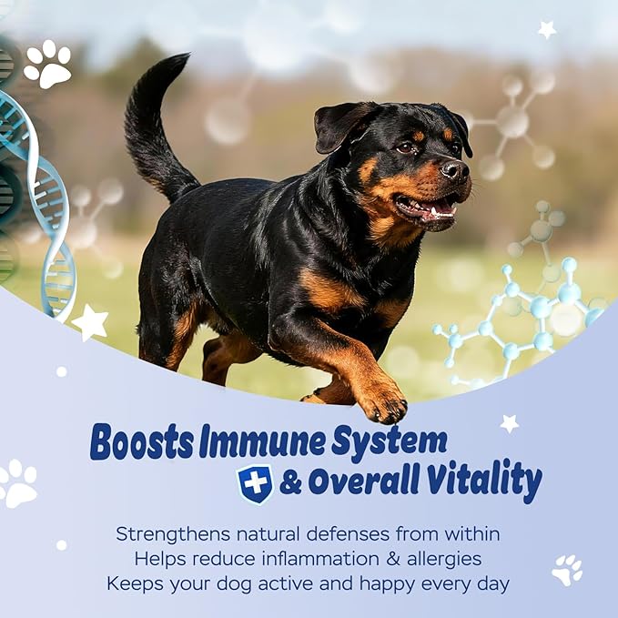 Dog Probiotic Soft Chews – 6-Strain Blend for Digestive & Immune Health – Supports Gut Balance, Reduces Gas, Tasty Daily Treat for Dogs-120 Count