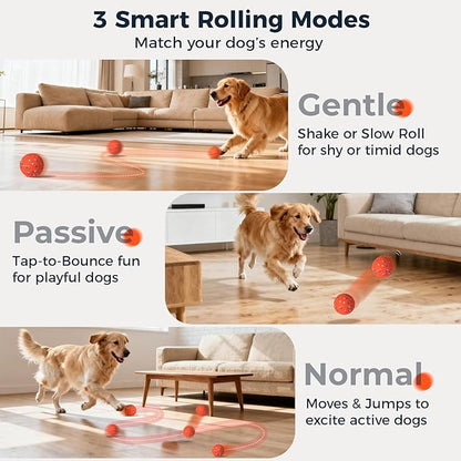 Aquamorph 2 Pack Interactive Dog Balls - Auto Moving Bouncing Vibrating Washable Dog Toys for Large Medium Dogs, Type-C Rechargeable, Blue and Orange, Grid Pattern