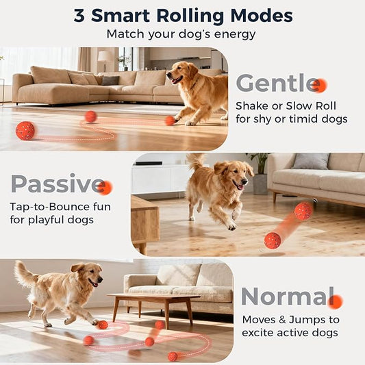 Aquamorph 2 Pack Interactive Dog Balls - Auto Moving Bouncing Vibrating Washable Dog Toys for Large Medium Dogs, Type-C Rechargeable, Blue and Orange, Grid Pattern