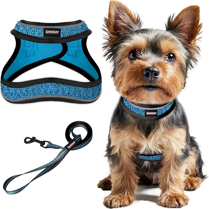Dog Harness and Leash Set,Step in Small Sized Dog Harness,Soft Mesh,No-Chock,Reflective Adjustable,Secure with Hook & Loop Fastener,Puppy Vest for Small,Medium Dogs(Blue/Black,XS)