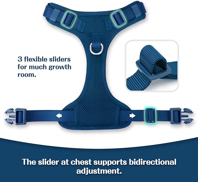 No Pull Dog Harness for Small Medium Large Dogs - Adjustable 2 Layer Mesh Dog Vest with Dual Clip, Escape Proof, Quick Release, Lightweight Breathable Mesh for Walking Hiking (Prussian Blue,XL)