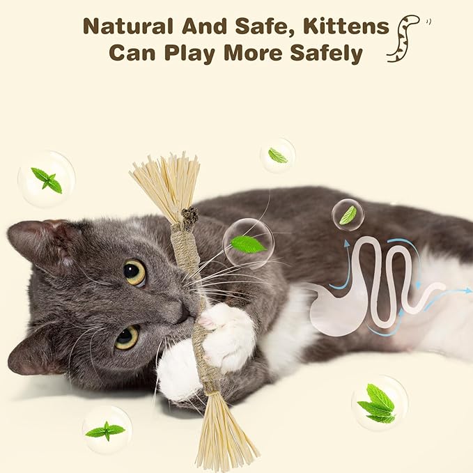 SINROBO 4 Pack Silvervine Sticks for Cats - Cat Chew Toy for Teeth Cleaning, Edible Matatabi Kitty Chew Sticks, Catnip Cat Toys for Indoor Cats (4 Sticks)